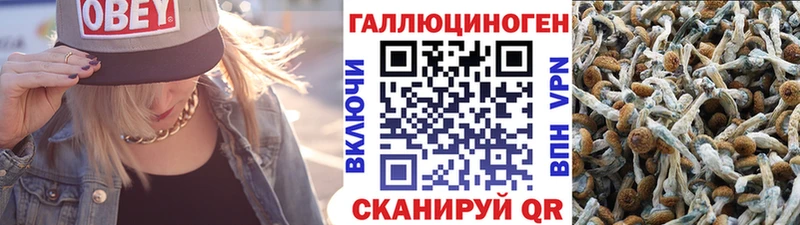 даркнет сайт  Ишимбай  сайты даркнета какой сайт  Псилоцибиновые грибы Psilocybine cubensis 